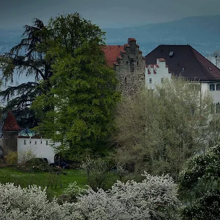 فندق Schloss Wartensee