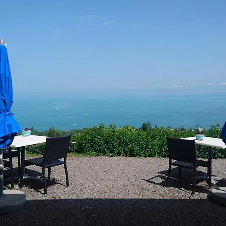 Schloss Wartensee Ξενοδοχείο