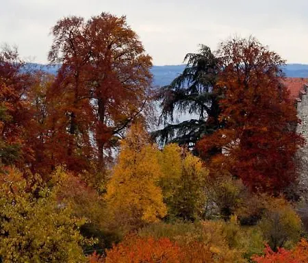 Hotel Schloss Wartensee 3*